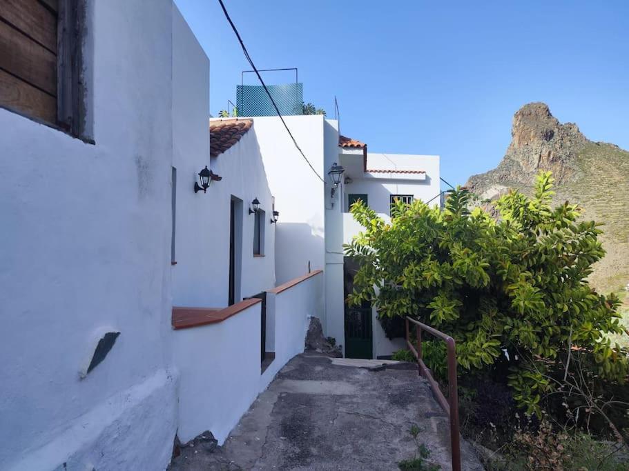 La Casa Vieja Villa Santa Cruz de Tenerife Bagian luar foto